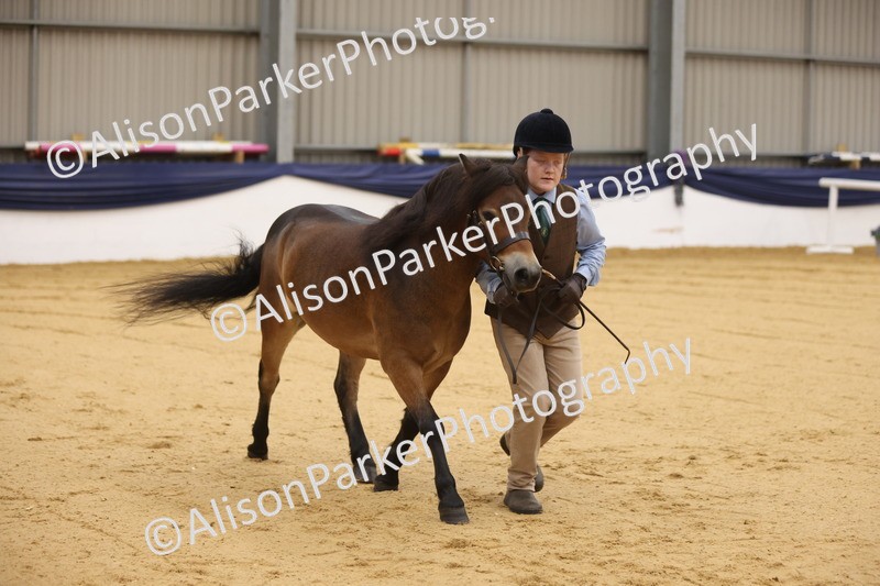 20260913-0074 - Class 121 - Young Handler 5-16