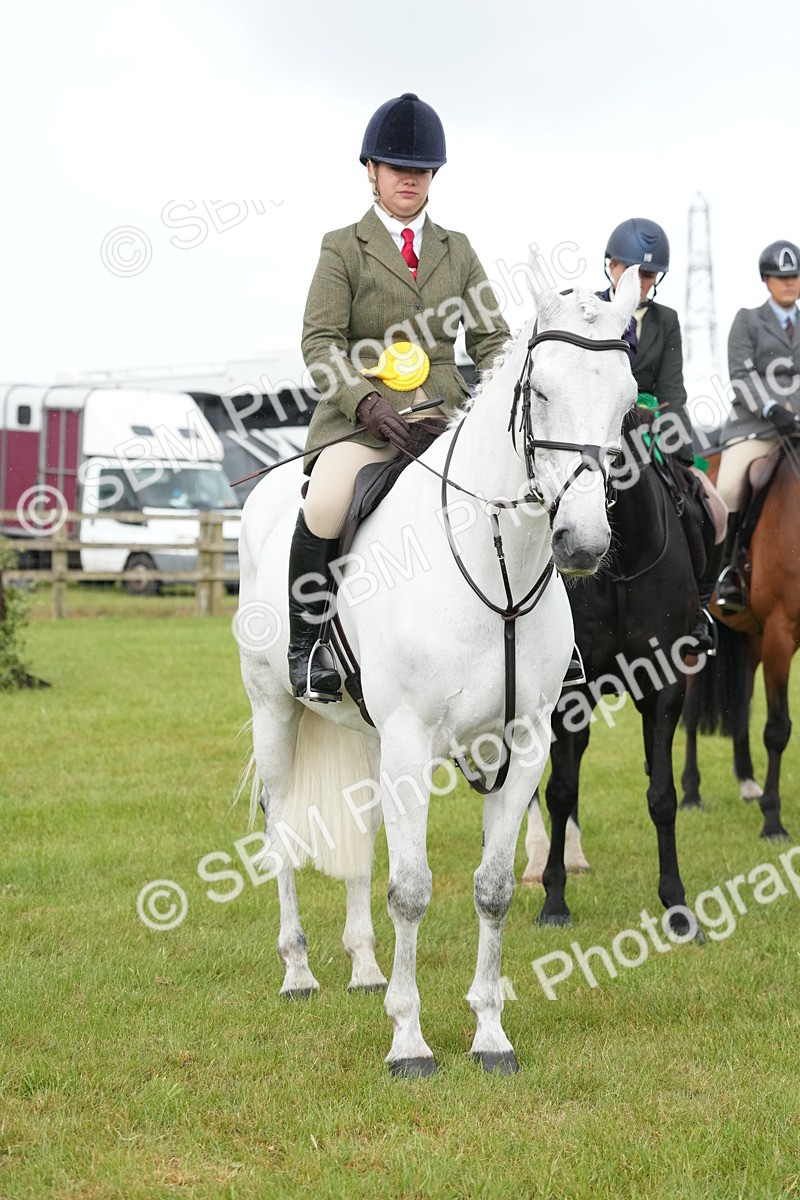 SBM_12806 - Class 97-98 - LIHS BSHA Rising Star Working Show Horse Hunter