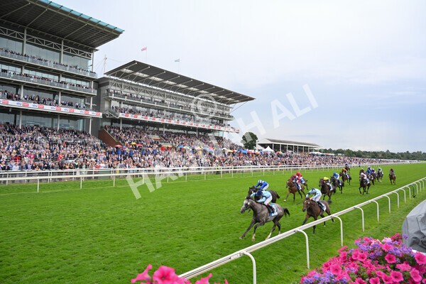 yr19082021r5-20 - Race 5 4.10pm OR8wellness ebfstallions Nursery Handicap
