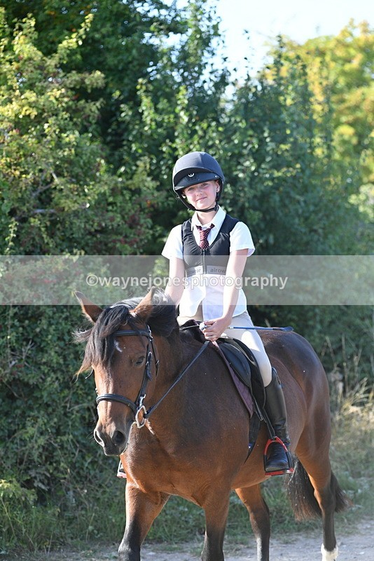 WJ5_5056 - Walk out with the hounds