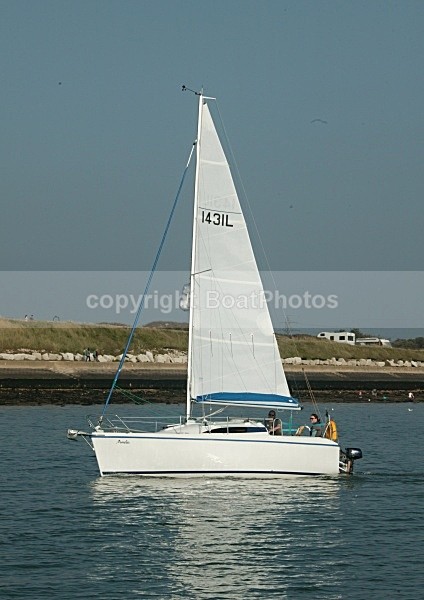 081011 GR1431L AMELIA 8CDX0940 - Sailboats - monohull