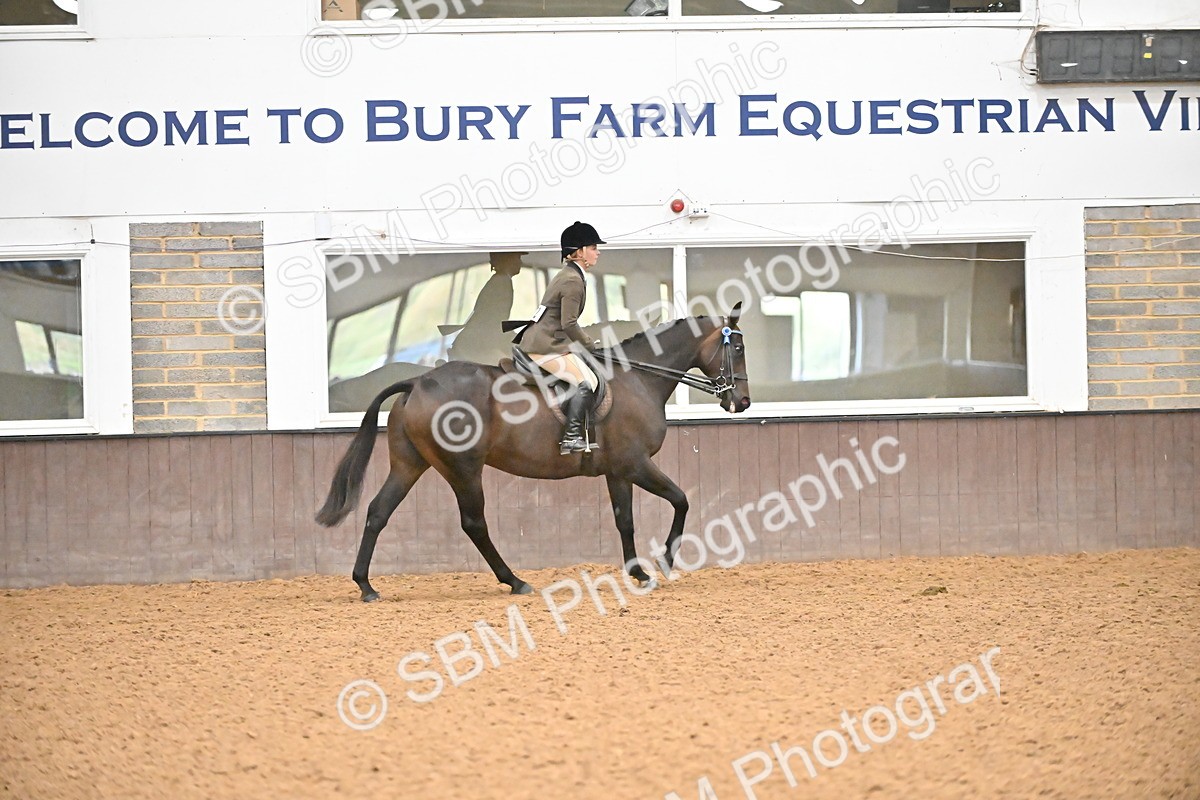 SBM_002378 - Class 22 - BSHA Ridden Hack & Riding Horse