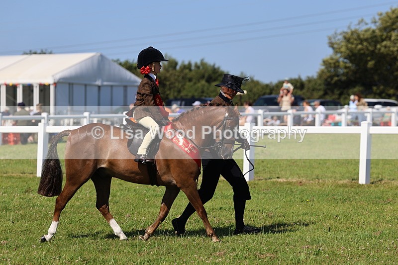 IMG_1866 - Plaited Mini Ridden Championship