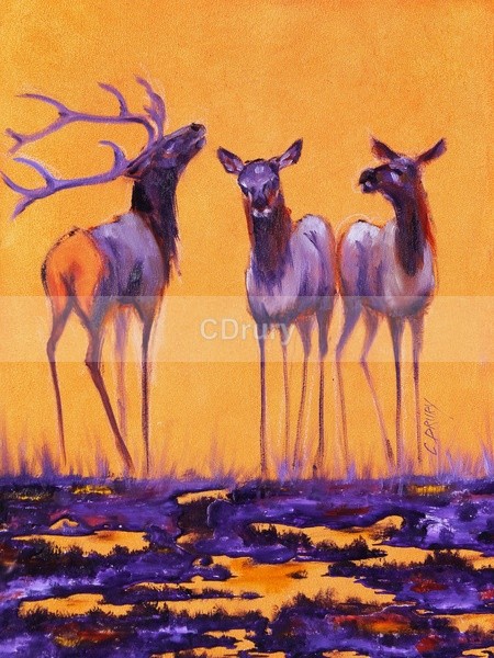 RE04151 Courtship - Colorful Critters