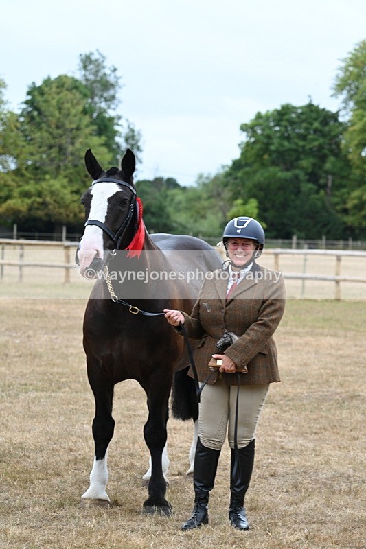 WJ7_0236 - Gelding Champs