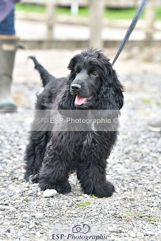 230817-124624-02812 - Stable Shots