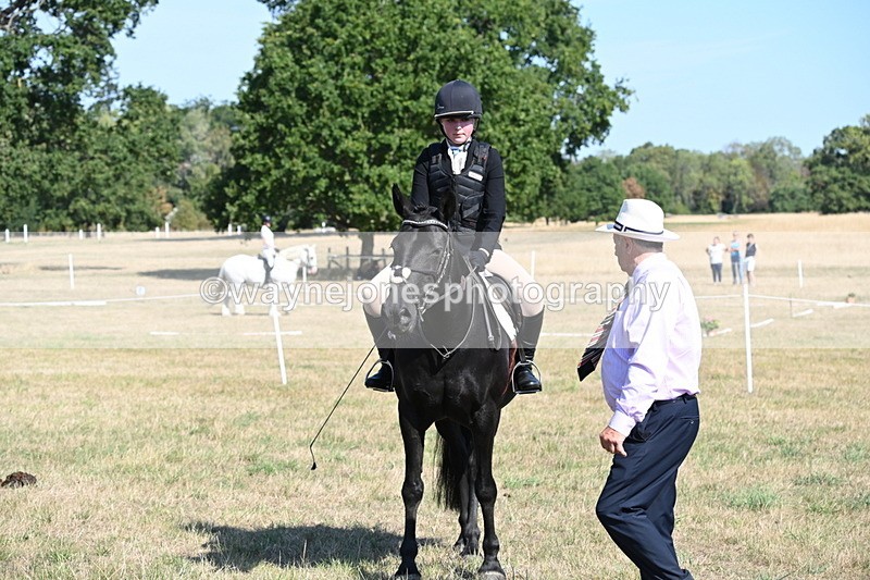 WJ6_7597 - Class 34 Judges Choice