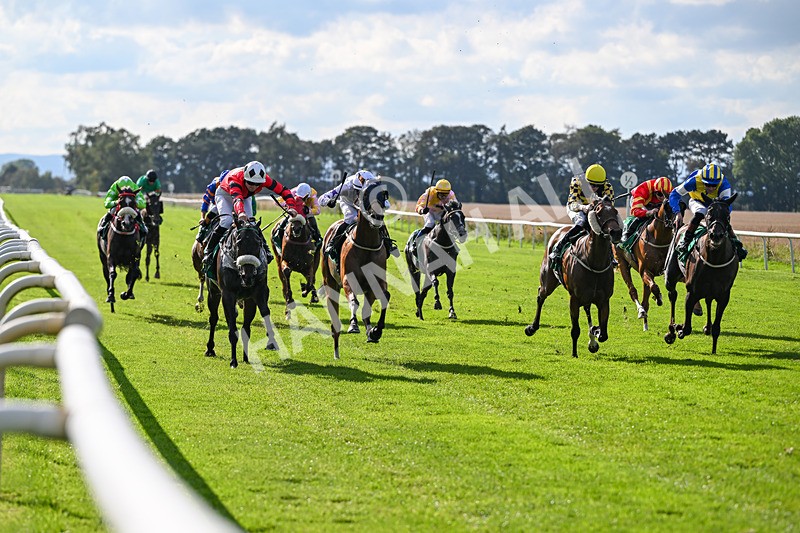 140926-Race 4-Lamlash Bay-7221 - Race 4 3.51pm Sapphire Selling Handicap