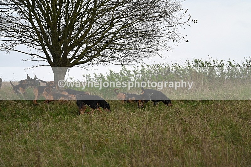 WJ7_9816 - Camera 1 & Last fence