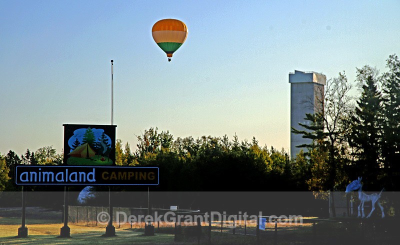 Atlantic Balloon Fiesta Animaland 09-09-19