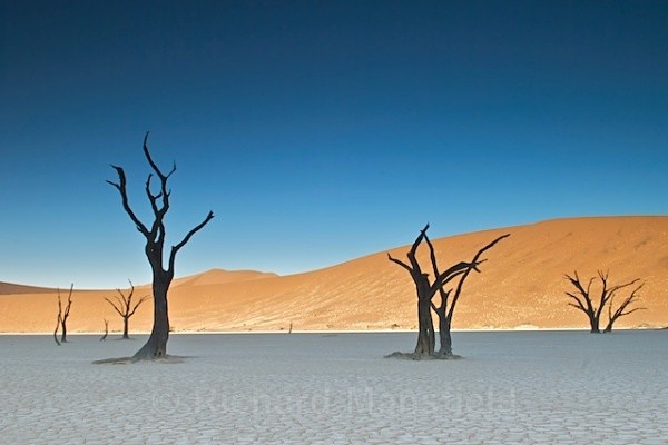 Dead Vlei - Namibia