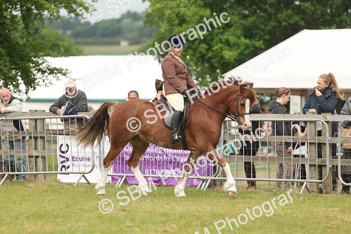 SBM_07156 - Class 76-77 - Ridden M&M Welsh Ponies