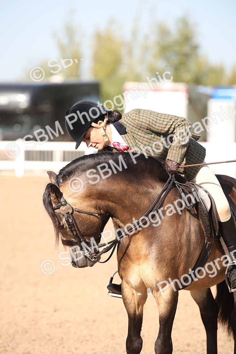 SBM_00760 - Class 14 Ridden M&M Wildcard