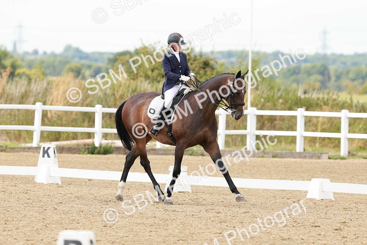 SBM_002420 - Class 11 - Medium 6