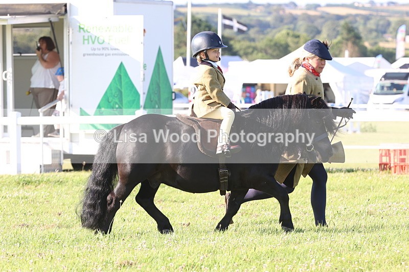 JPP_0679 - Class 16: Cornish Combination Leading Rein