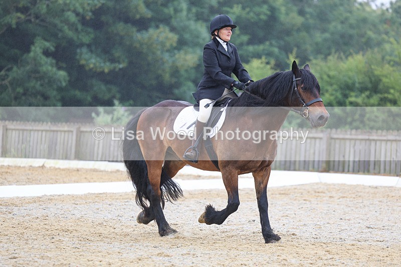 3E7A8448 - Class 2: Intro 3 2024 section B