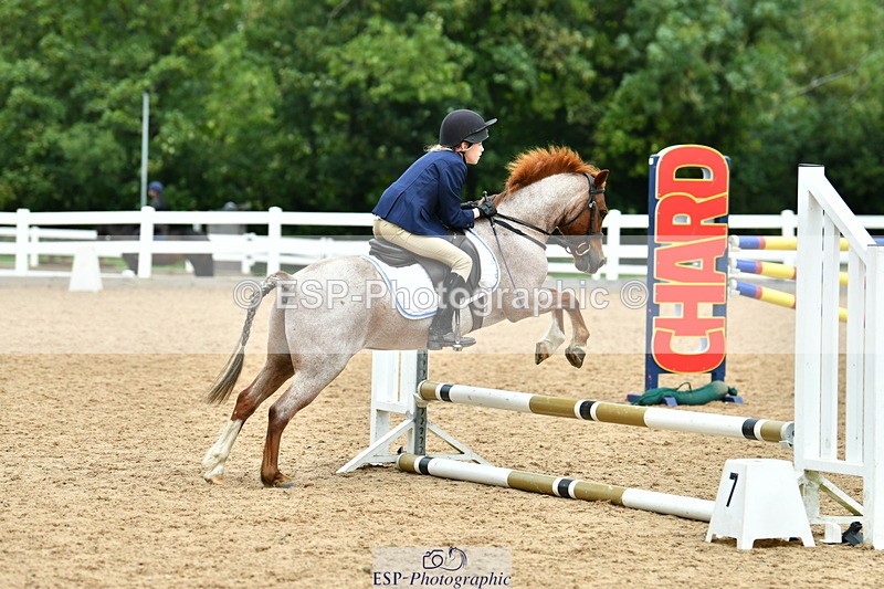 230804A-120106-02427 - Showjumping Competition