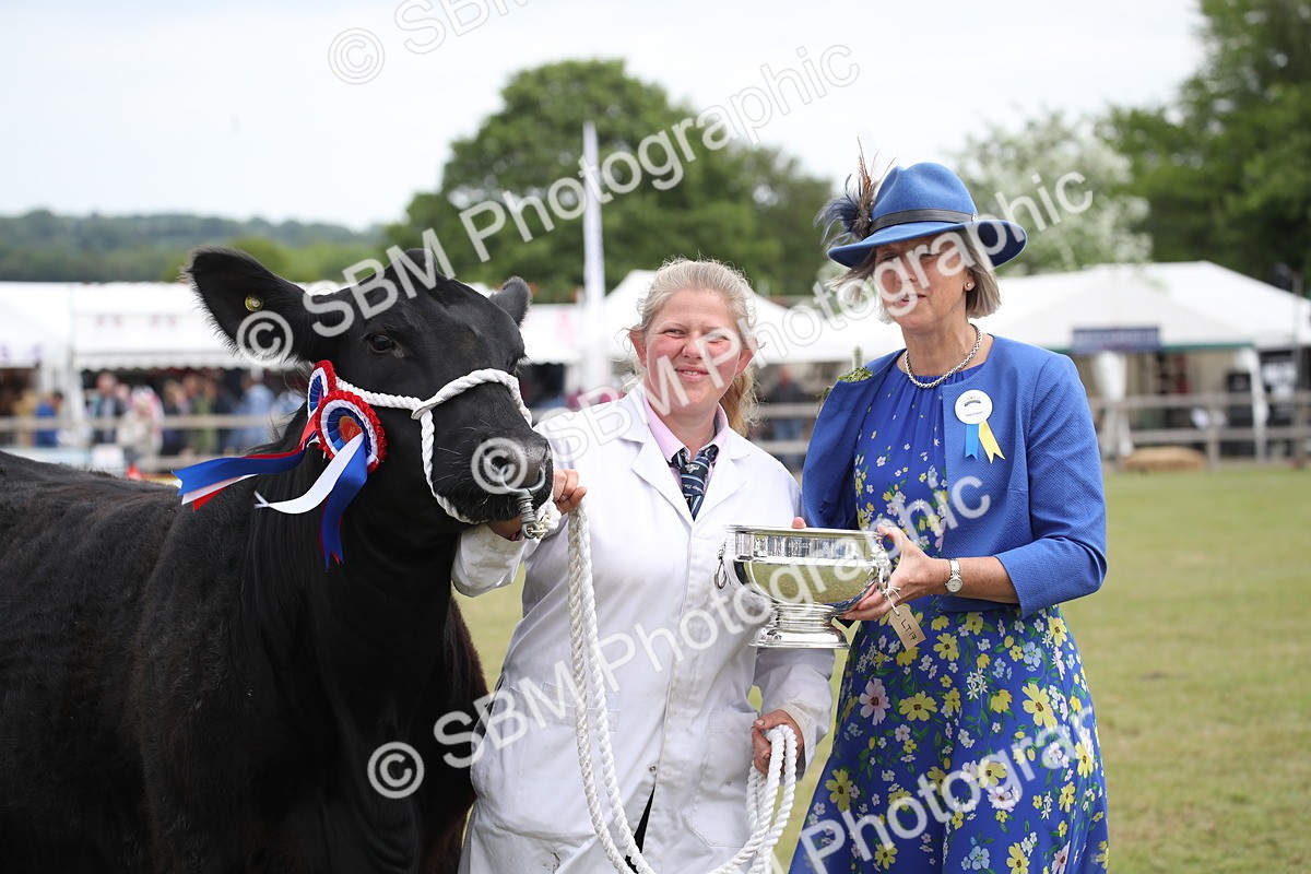 SBM_07947 - Grand Parade