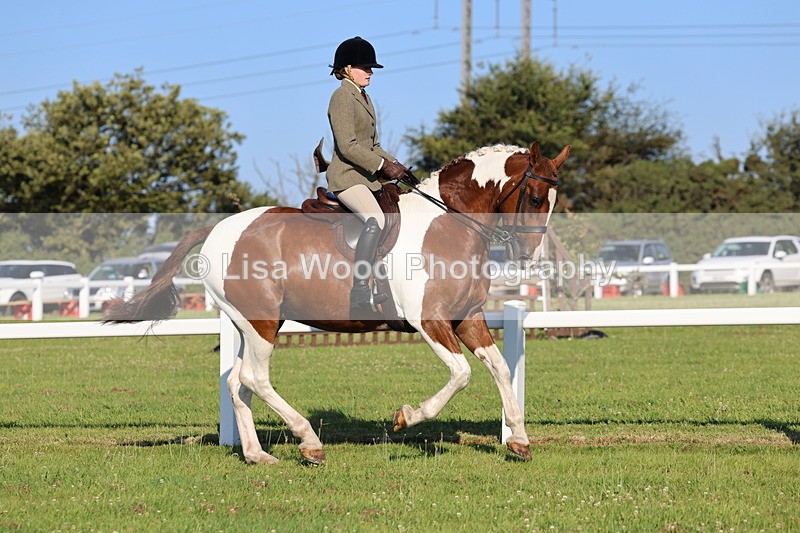 IMG_1204 - Class 27: Ridden Plaited Coloured Horse