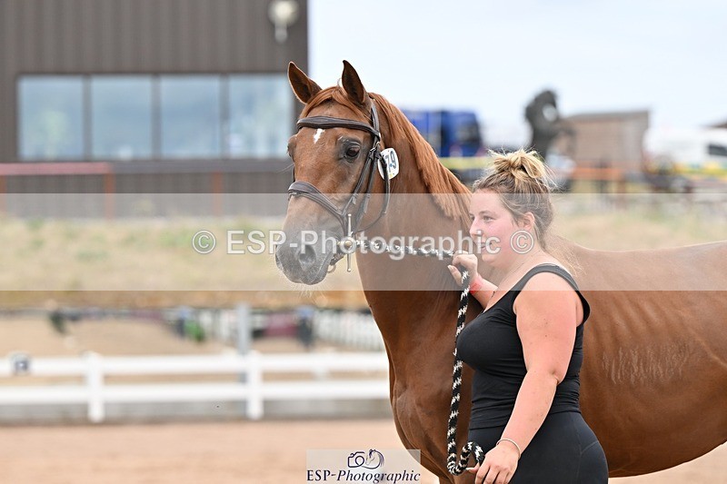 250716-160504-02400 - Trot Up 3.30 to 4.30