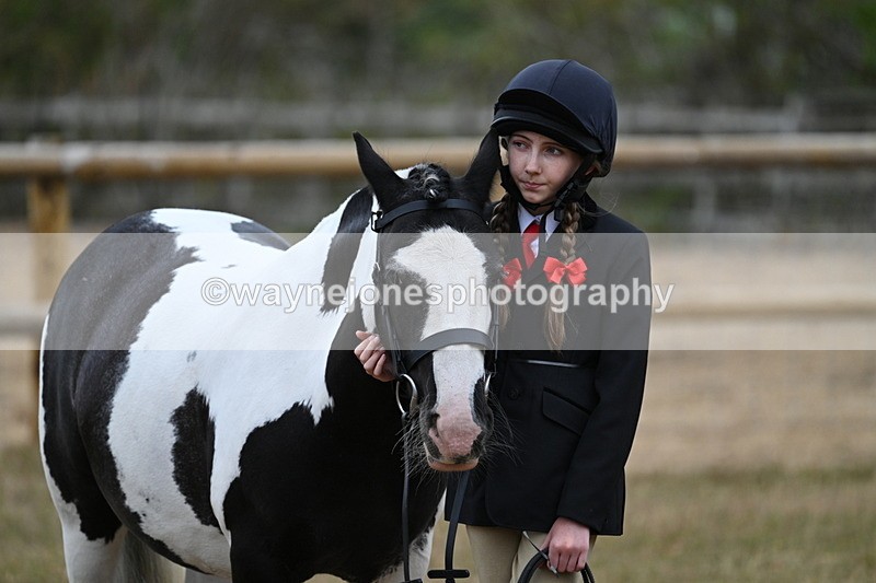 WJ7_8535 - Class 4 Prettiest Mare up to 14.2hh