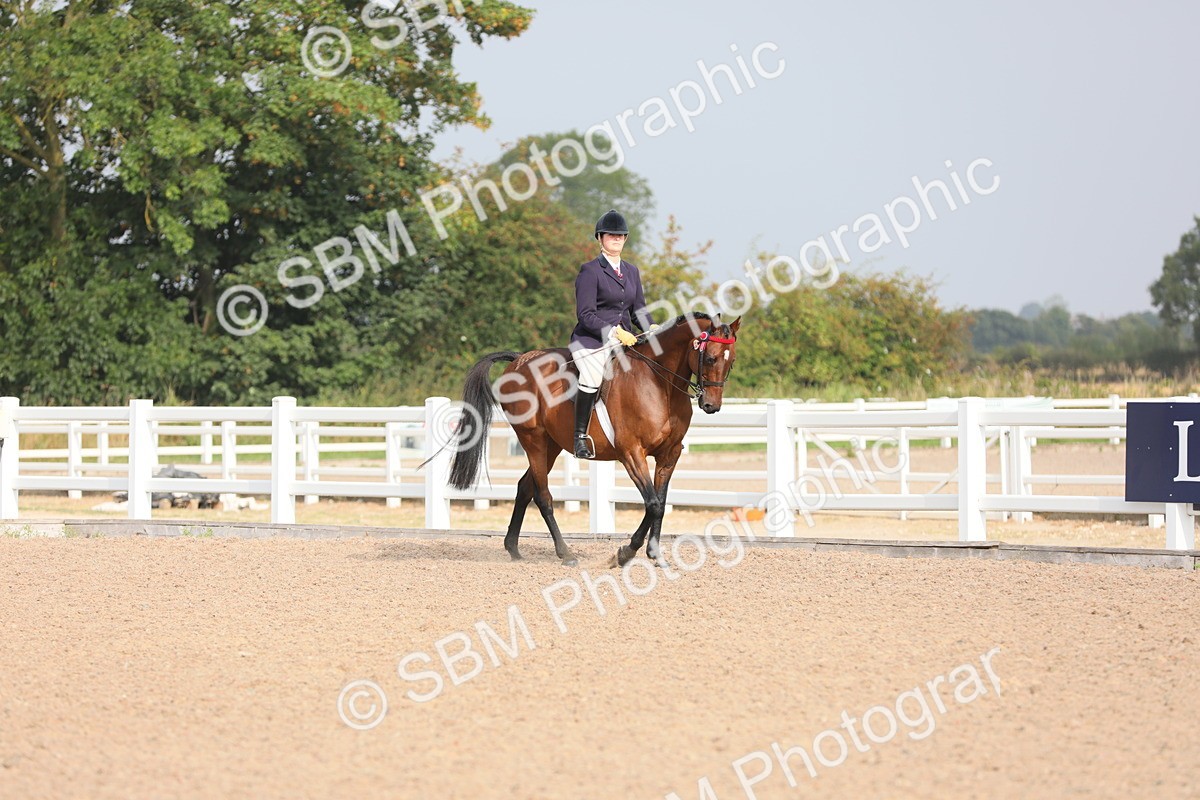 SBM_10859 - Class 304 Ridden Part Bred Horse/Pony