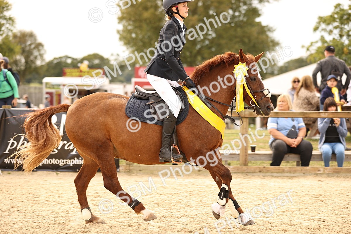 SBM_70861 - J13 - Junior Pony 60cm Championship