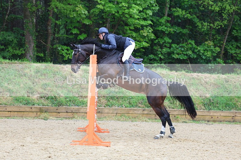 3E7A7439 - Class 8: Senior Foxhunter/1.20 open