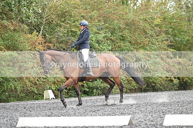 WJ7_6173 - Time 14:10 to 14:45