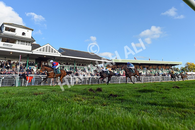 191024-Race 4-Three Dons-2170 - Race 4