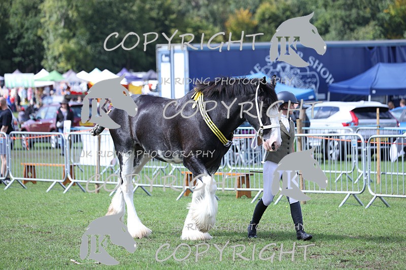 APP_3408 - Class 6 Young Handlers