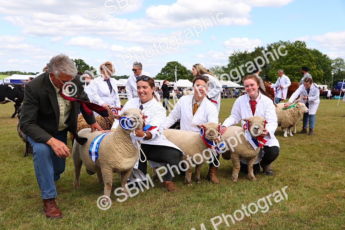 SBM_16953 - Grand Parade