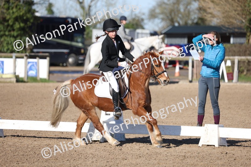 20260214-0285 - Class 3 - Prelim 2