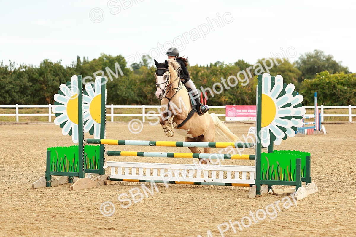 SBM_002240 - Class 9 - Senior British Novice - 90cm