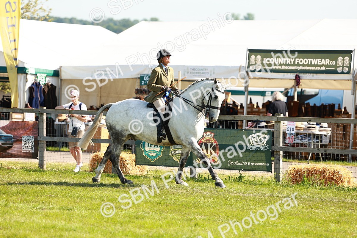 SBM_11900 - Class 66-69 - RIHS Ridden Hunters Inc Small Hunter