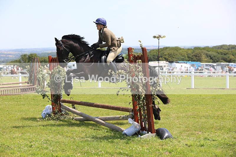 JPP_2546 - Class 21: Working Hunter 60cm
