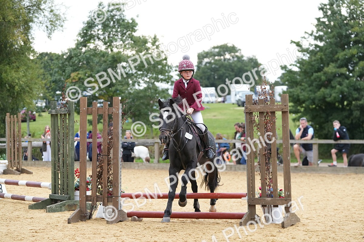 SBM_74572 - J4 - Mini Tour Junior Pony 45cm Championship