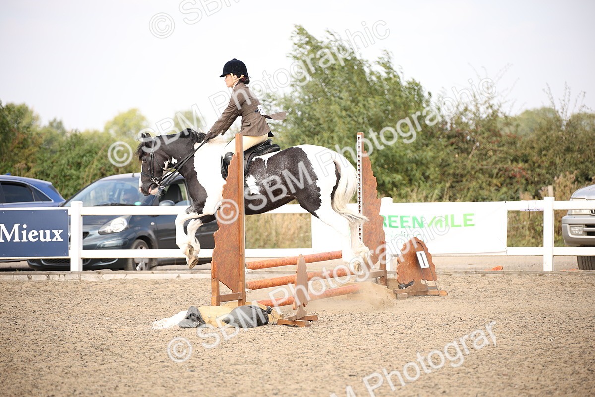 SBM_14977 - Class 408a - Working Veteran 70cm (15-19