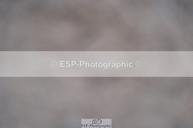 231017A-115200-06799 - Cls 26 Chard Equ Grand Prix