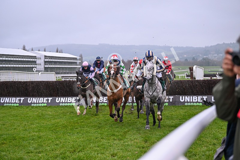 131224-Race 4-King Turgeon-9110 - Race 4