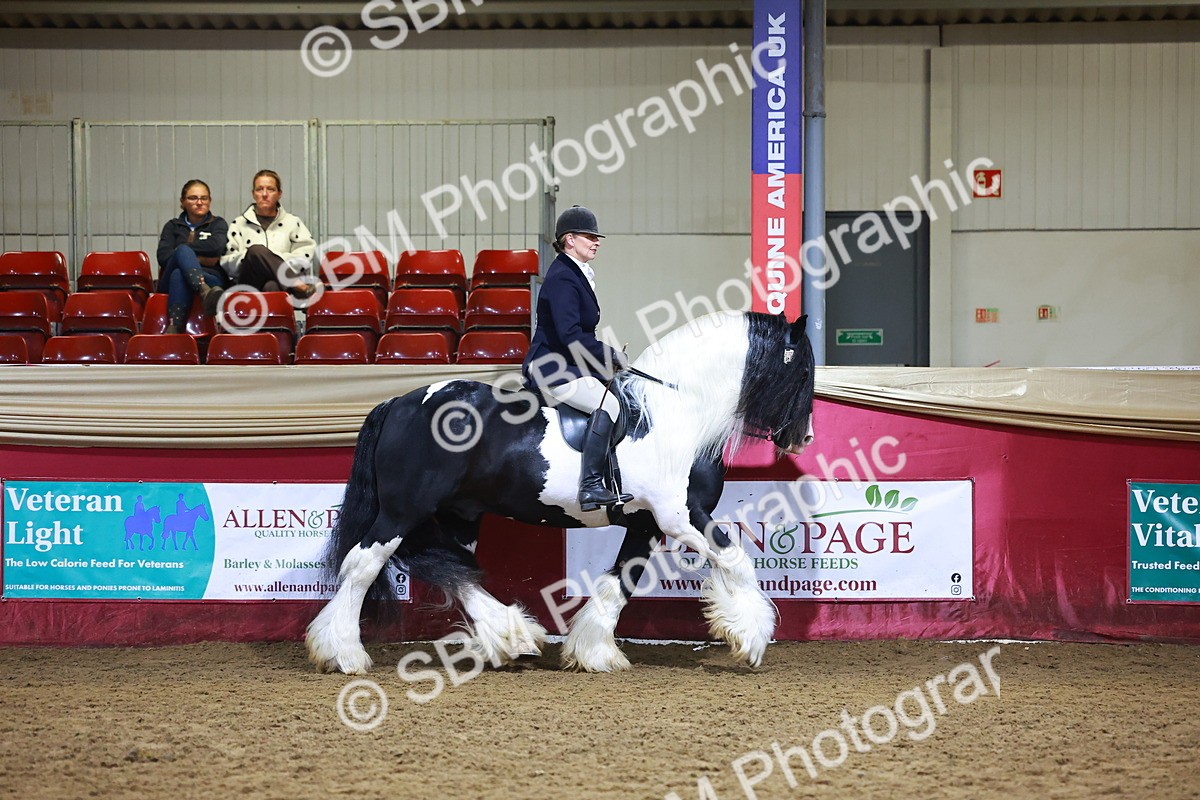 SBM_15499 - Class R - Veteran Champ