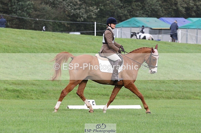 231019-105041-02453 - 607-RICO.III-Alison.Stewart-DR