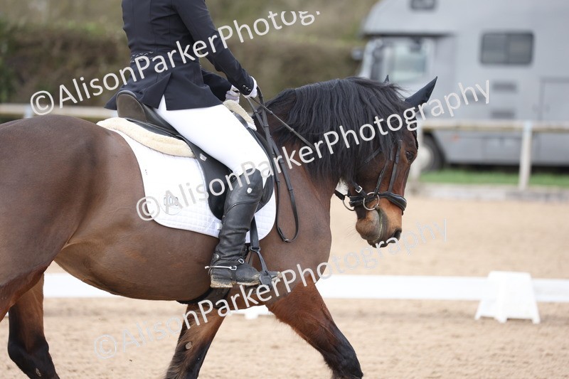 20260301-0932 - Class 6 - Elementary 5