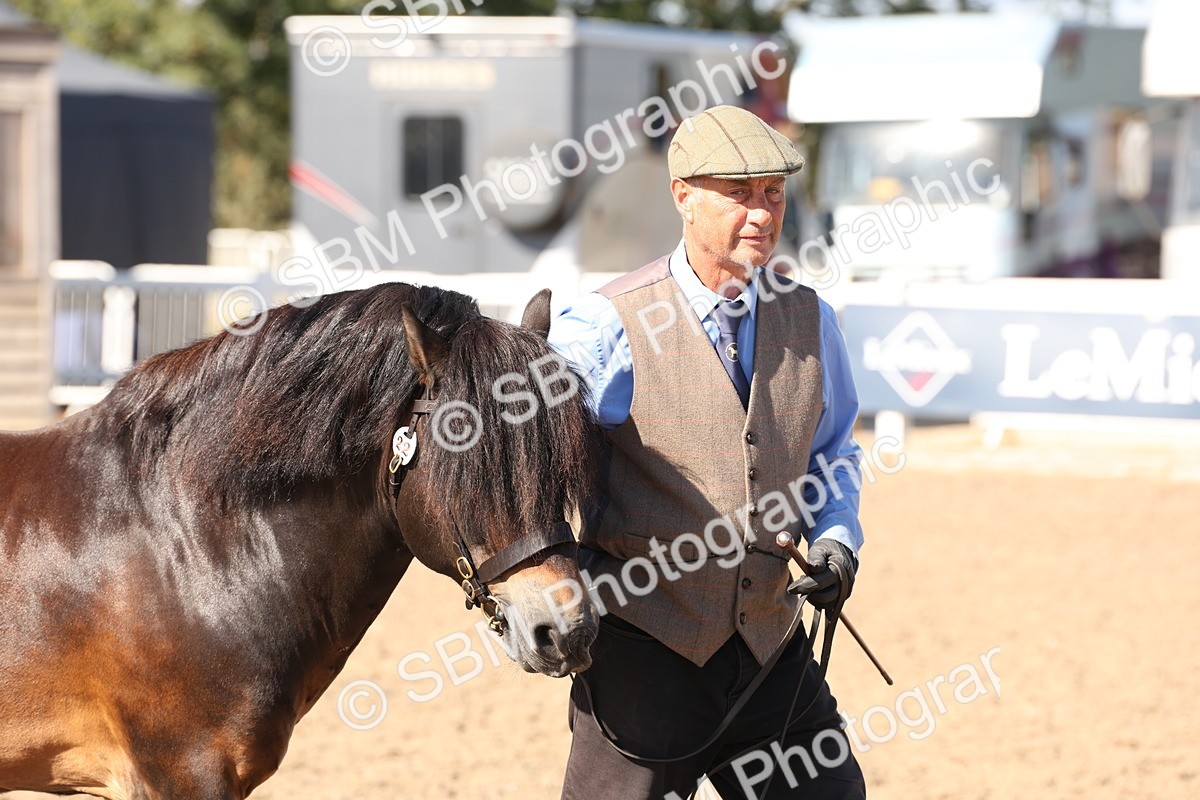 SBM_14024 - Class 207 - IH M&M