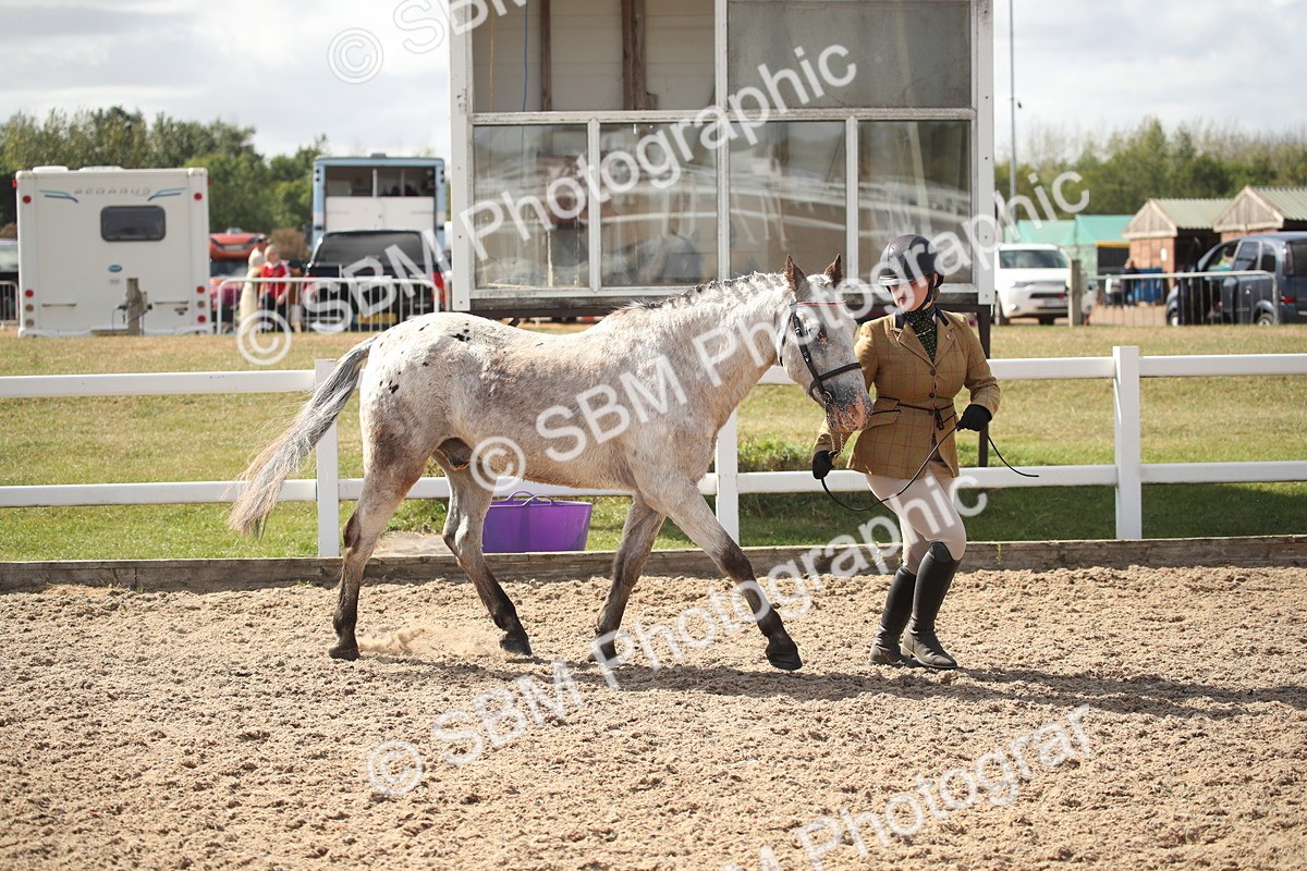 SBM_23398 - Class 604 - 2026 - Area IH Diamond