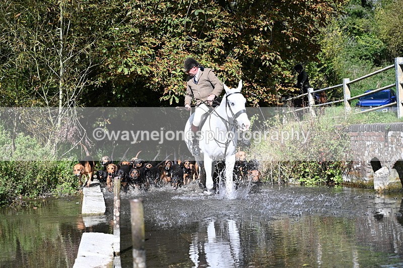 WJ7_5929 - Hounds Water Crossing