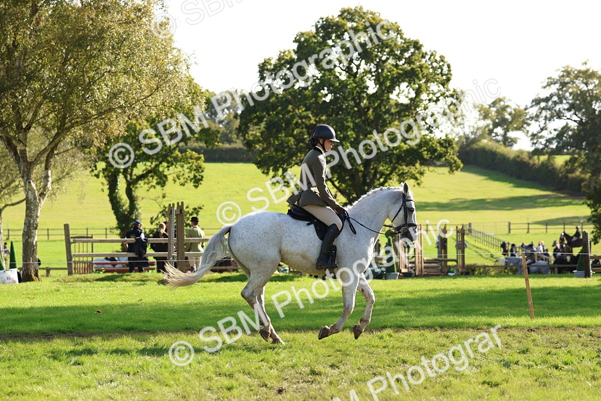 SBM_52403 - S13 - Pony Club Pony