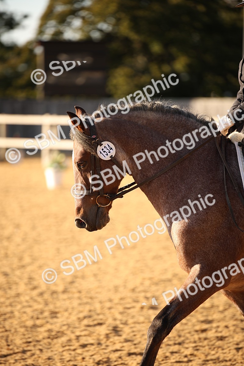 SBM_31449 - D11 - Small Tour Championship - Prelim 13