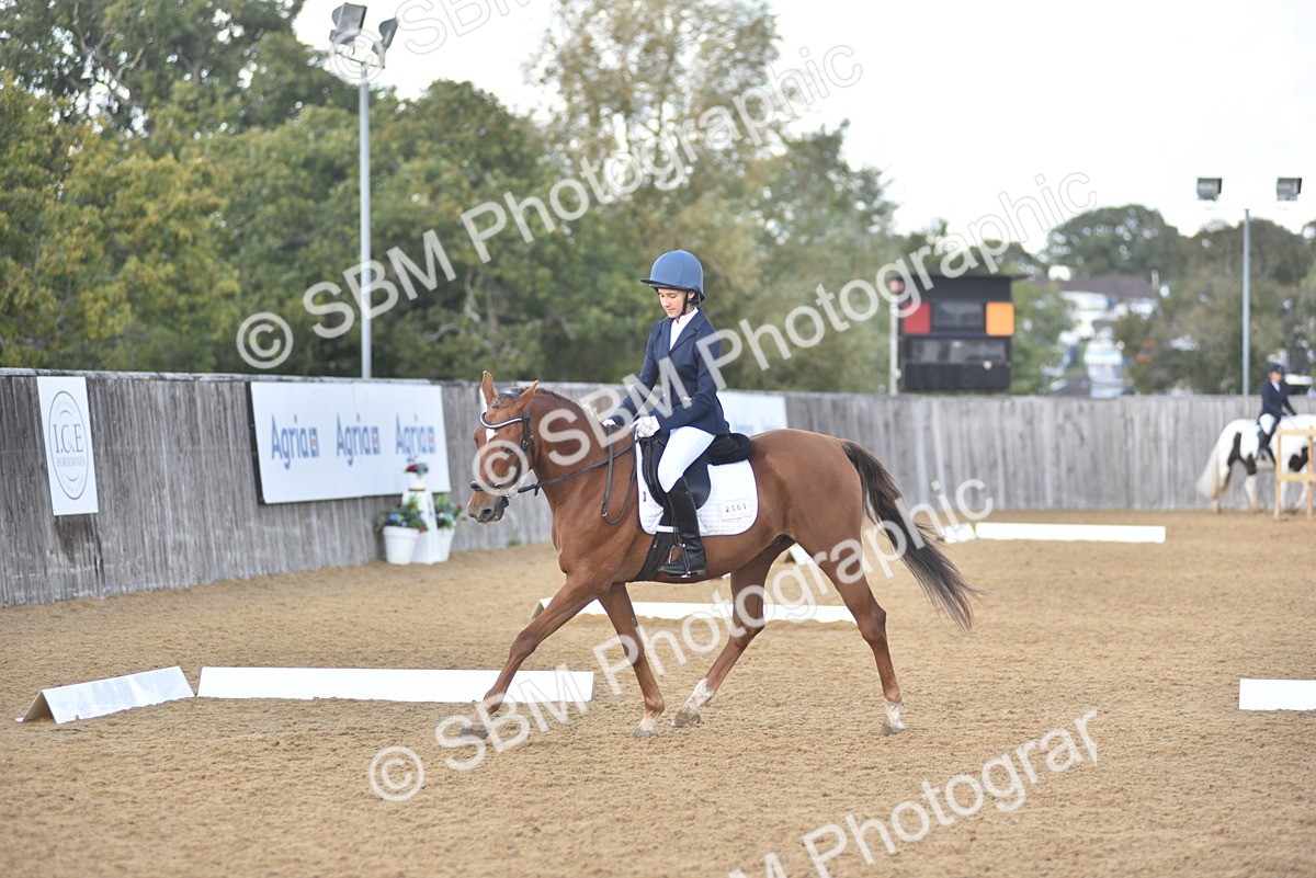 SBM_48919 - D22 - Junior Championship Intro 3