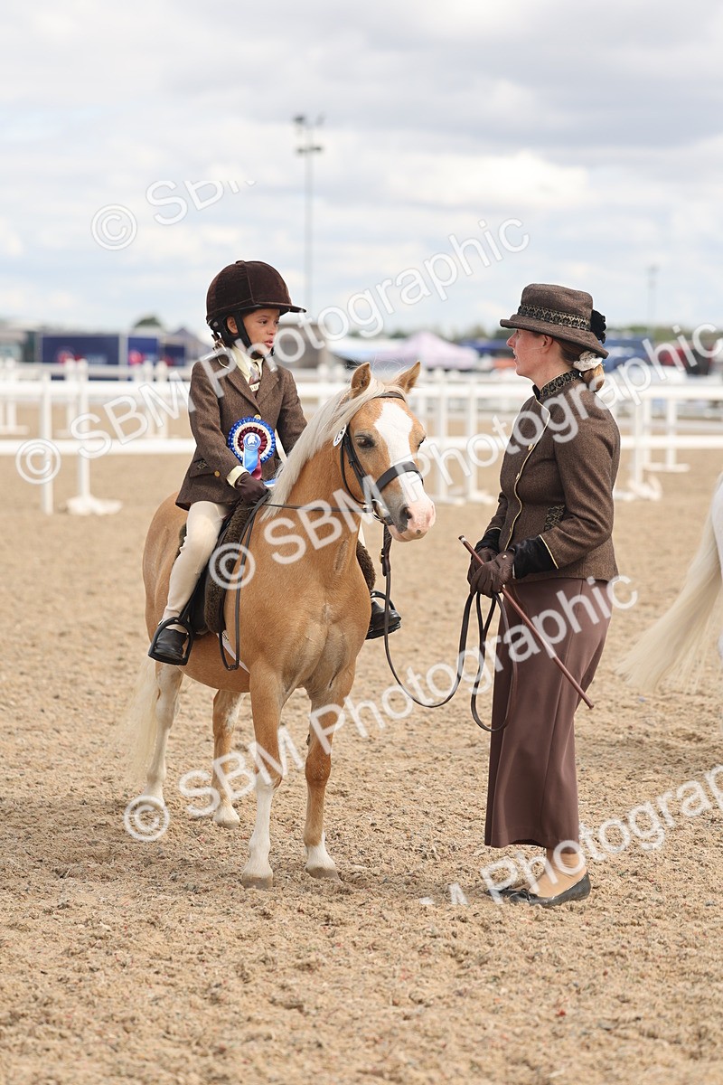 SBM_15834 - Class 309 - Lead Rein Pony